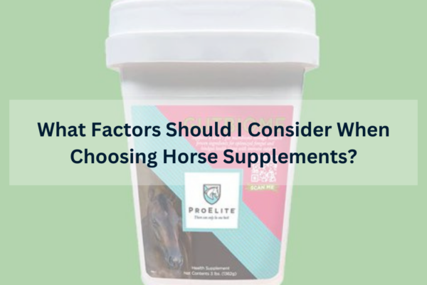 What Factors Should I Consider When Choosing Horse Supplements?